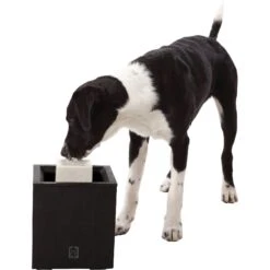 Dogit Design Alfresco Outdoor Drinking Plastic Fountain -Blue Buffalo || ROYAL CANIN || Wellness Sales 65640 PT3. AC SS1800 V1626361309