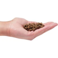 Earthborn Holistic Unrefined Smoked Bison With Ancient Grains & Superfoods Dog Dry Food -Blue Buffalo || ROYAL CANIN || Wellness Sales 657630 PT2. AC SS1800 V1682711432