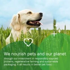 CANIDAE Sustain Wholesome Pates Premium Recipe With Cage-Free Chicken Dog Wet Dog Food -Blue Buffalo || ROYAL CANIN || Wellness Sales 660502 PT7. AC SS1800 V1664555060