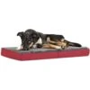 Coleman Carry Handle Folding Dog Bed -Blue Buffalo || ROYAL CANIN || Wellness Sales 663326 MAIN. AC SS1800 V1665173864