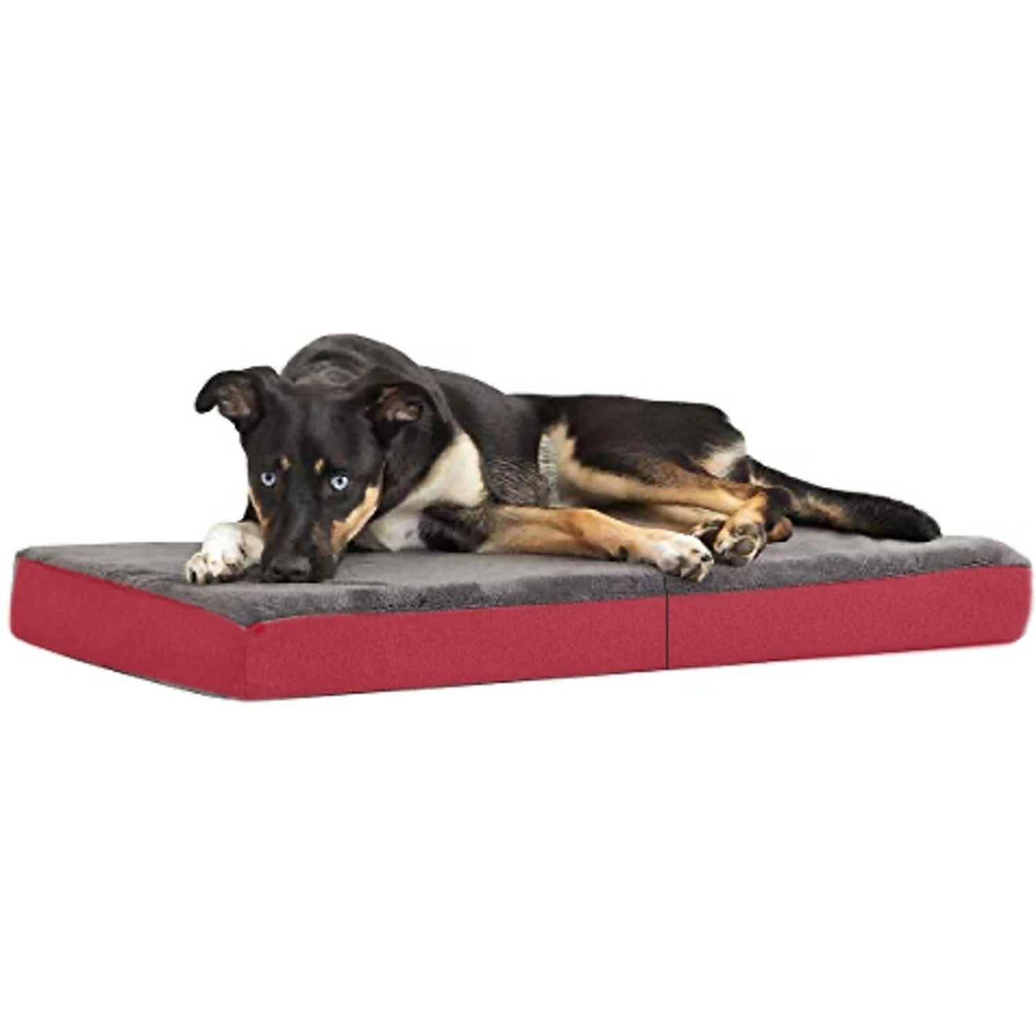 Coleman Carry Handle Folding Dog Bed 3 Coleman Carry Handle Folding Dog Bed