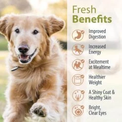 JustFoodForDogs Sensitive Skin & Stomach Variety Pack Human-Grade Fresh Whole Dog Food 16 JustFoodForDogs Sensitive Skin & Stomach Variety Pack Human-Grade Fresh Whole Dog Food -Blue Buffalo || ROYAL CANIN || Wellness Sales 663390 PT5. AC SS1800 V1665439045