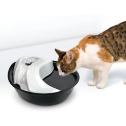 Pioneer Pet Plastic Dog & Cat Fountain Raindrop Design, 60-oz 11 Pioneer Pet Plastic Dog & Cat Fountain Raindrop Design, 60-oz -Blue Buffalo || ROYAL CANIN || Wellness Sales 66968 PT2. AC SS1800 V1598655411