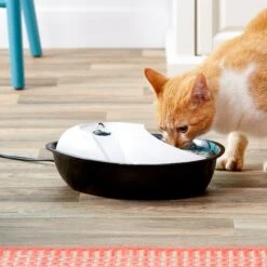 Pioneer Pet Plastic Dog & Cat Fountain Raindrop Design, 60-oz 12 Pioneer Pet Plastic Dog & Cat Fountain Raindrop Design, 60-oz -Blue Buffalo || ROYAL CANIN || Wellness Sales 66968 PT3. AC SS1800 V1539379059