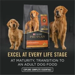 Purina Pro Plan Development Puppy Chicken & Rice Entree Canned Dog Food 18 Purina Pro Plan Development Puppy Chicken & Rice Entree Canned Dog Food -Blue Buffalo || ROYAL CANIN || Wellness Sales 67446 PT7. AC SS1800 V1689791335