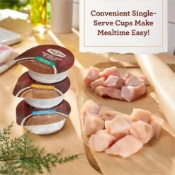 True Acre Foods Turkey Recipe Tender Loaf In Gravy, Wet Dog Food Cups + 2 Items 12 True Acre Foods Turkey Recipe Tender Loaf In Gravy, Wet Dog Food Cups + 2 Items -Blue Buffalo || ROYAL CANIN || Wellness Sales 674774 PT2. AC SS1800 V1670335782