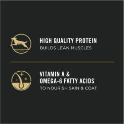 Purina Pro Plan High Protein Chicken & Rice Formula Dry Puppy Food -Blue Buffalo || ROYAL CANIN || Wellness Sales 67481 PT6. AC SS1800 V1683575123