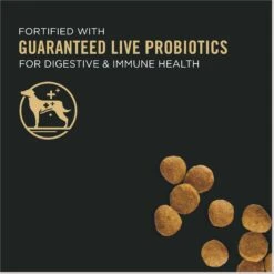 Purina Pro Plan High Protein DHA Lamb & Rice Formula Puppy Food 13 Purina Pro Plan High Protein DHA Lamb & Rice Formula Puppy Food -Blue Buffalo || ROYAL CANIN || Wellness Sales 67485 PT2. AC SS1800 V1683834564
