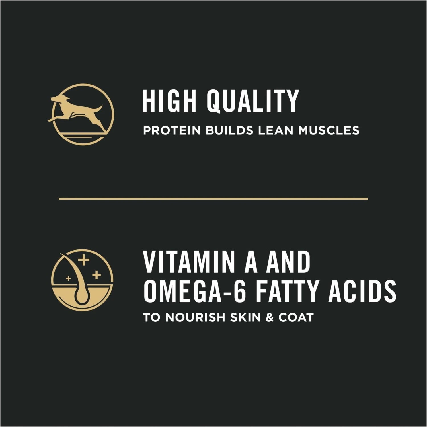 Purina Pro Plan High Protein DHA Lamb & Rice Formula Puppy Food 9 Purina Pro Plan High Protein DHA Lamb & Rice Formula Puppy Food - Image 7