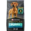 Purina Pro Plan High Protein Chicken & Rice Formula Large Breed Dry Puppy Food 2 Purina Pro Plan High Protein Chicken & Rice Formula Large Breed Dry Puppy Food -Blue Buffalo || ROYAL CANIN || Wellness Sales 67488 MAIN. AC SS1800 V1683569756