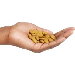 Purina Pro Plan High Protein Chicken & Rice Formula Large Breed Dry Puppy Food -Blue Buffalo || ROYAL CANIN || Wellness Sales 67488 PT4. AC SS1800 V1683575898