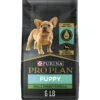 Purina Pro Plan Puppy Small Breed Chicken & Rice Formula Dry Dog Food 1 Purina Pro Plan Puppy Small Breed Chicken & Rice Formula Dry Dog Food -Blue Buffalo || ROYAL CANIN || Wellness Sales 67490 MAIN. AC SS1800 V1683813128