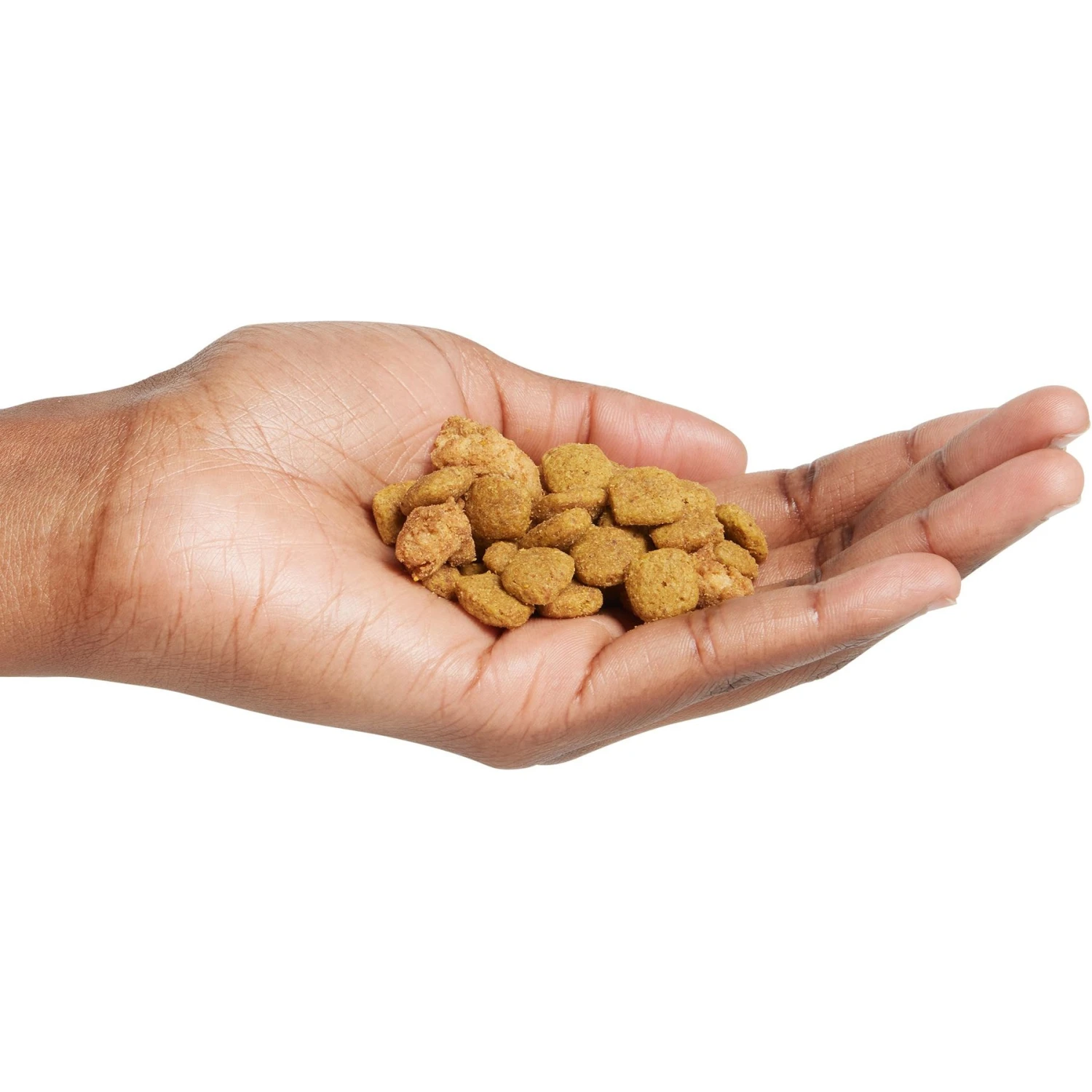 Purina Pro Plan Adult 7+ Shredded Blend Chicken & Rice Formula Dry Dog Food 7 Purina Pro Plan Adult 7+ Shredded Blend Chicken & Rice Formula Dry Dog Food - Image 5