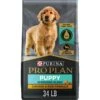 Purina Pro Plan Puppy Shredded Blend Chicken & Rice Formula With Probiotics Dry Dog Food 2 Purina Pro Plan Puppy Shredded Blend Chicken & Rice Formula With Probiotics Dry Dog Food -Blue Buffalo || ROYAL CANIN || Wellness Sales 67531 MAIN. AC SS1800 V1683568817