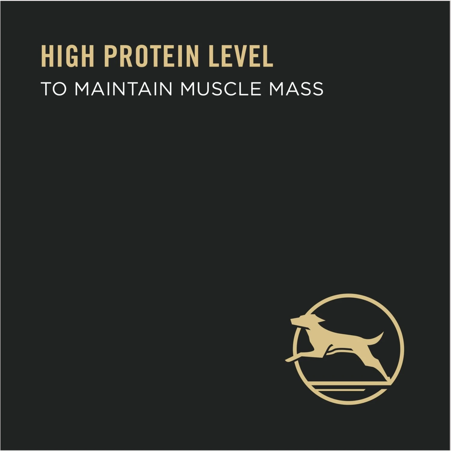 Purina Pro Plan Savor Adult Classic Beef & Brown Rice Entree Canned Dog Food 5 Purina Pro Plan Savor Adult Classic Beef & Brown Rice Entree Canned Dog Food - Image 3