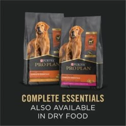 Purina Pro Plan Savor Adult Turkey & Vegetables Entree Slices In Gravy Canned Dog Food -Blue Buffalo || ROYAL CANIN || Wellness Sales 67640 PT6. AC SS1800 V1689791285