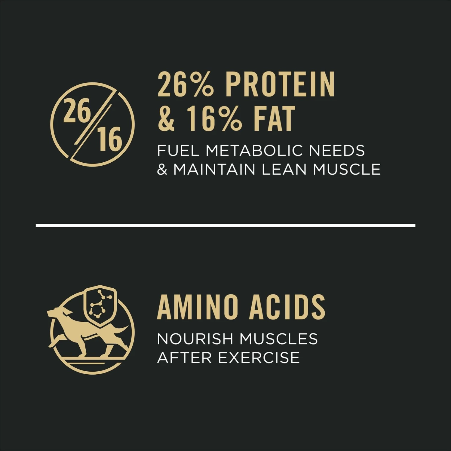 Purina Pro Plan Sport All Life Stages High-Protein Active 26/16 Formula Dry Dog Food 4 Purina Pro Plan Sport All Life Stages High-Protein Active 26/16 Formula Dry Dog Food - Image 2