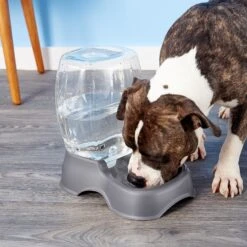 Petmate Pearl Pet Cafe Waterer 7 Petmate Pearl Pet Cafe Waterer -Blue Buffalo || ROYAL CANIN || Wellness Sales 68452 PT8. AC SS1800 V1540309962