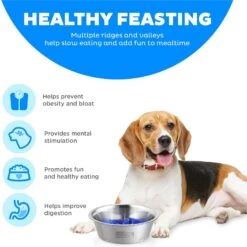 Outward Hound Stainless Steel Fun Slow Feeder Dog Bowl -Blue Buffalo || ROYAL CANIN || Wellness Sales 684942 PT5. AC SS1800 V1694286101