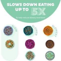 Outward Hound Fun Feeder Slo Tray Slow Feeder Dog Bowl 11 Outward Hound Fun Feeder Slo Tray Slow Feeder Dog Bowl -Blue Buffalo || ROYAL CANIN || Wellness Sales 684958 PT2. AC SS1800 V1694440048