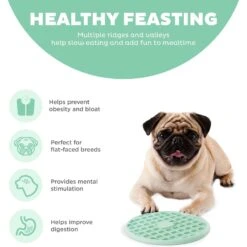 Outward Hound Fun Feeder Slo Tray Slow Feeder Dog Bowl 13 Outward Hound Fun Feeder Slo Tray Slow Feeder Dog Bowl -Blue Buffalo || ROYAL CANIN || Wellness Sales 684958 PT4. AC SS1800 V1694440049