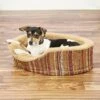 Petmate Antimicrobial Deluxe Bolster Cat & Dog Bed With Removable Cover, Color Varies -Blue Buffalo || ROYAL CANIN || Wellness Sales 68558 MAIN. AC SS1800 V1566935555