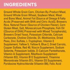 Pedigree Puppy Growth & Protection Chicken & Vegetable Flavor Dry Dog Food & Pedigree Chopped Ground Dinner With Chicken & Beef Puppy Canned Wet Dog Food -Blue Buffalo || ROYAL CANIN || Wellness Sales 688942 PT3. AC SS1800 V1668800882