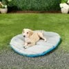 Chuckit! Travel Pillow Dog Bed 2 Chuckit! Travel Pillow Dog Bed -Blue Buffalo || ROYAL CANIN || Wellness Sales 68913 MAIN. AC SS1800 V1566240456
