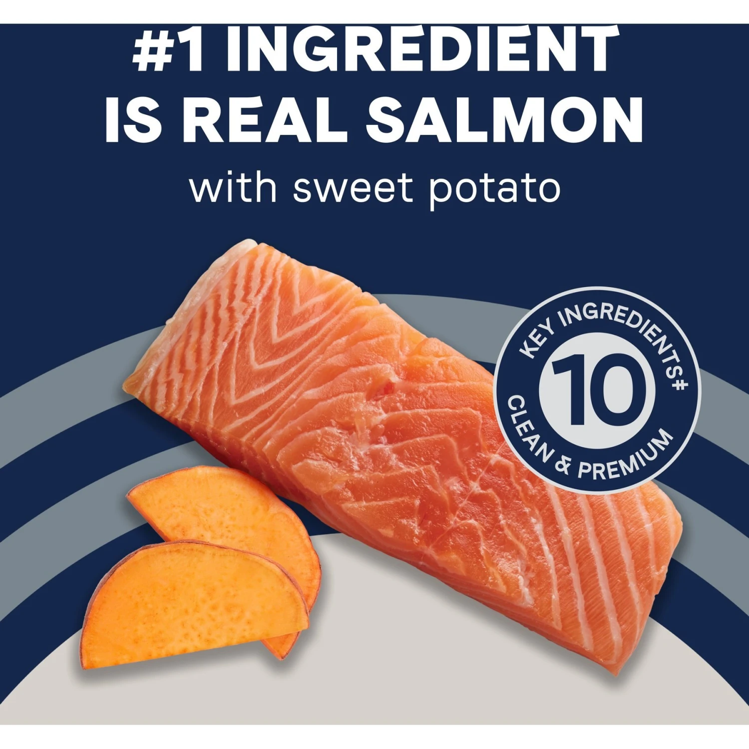 CANIDAE Grain-Free PURE Limited Ingredient Salmon & Sweet Potato Recipe Dry Dog Food 7 CANIDAE Grain-Free PURE Limited Ingredient Salmon & Sweet Potato Recipe Dry Dog Food - Image 5