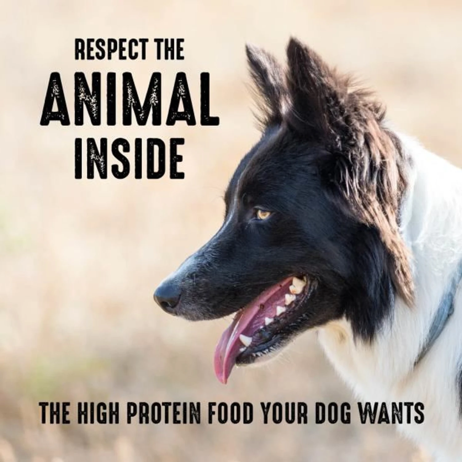 Crave High Protein Chicken Adult Grain-Free Dry Dog Food 7 Crave High Protein Chicken Adult Grain-Free Dry Dog Food - Image 5