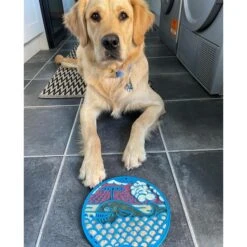 SodaPup Whale Dog Lick Mat, Blue, Large -Blue Buffalo || ROYAL CANIN || Wellness Sales 690542 PT3. AC SS1800 V1667517975