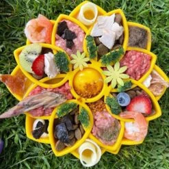 SodaPup Mandala Shallow Slow Dog Feeder, Large -Blue Buffalo || ROYAL CANIN || Wellness Sales 690558 PT2. AC SS1800 V1667517919