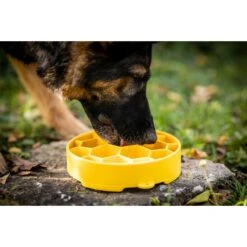 SodaPup Honeycomb Slow Feeder Dog Bowl, Yellow, Large 12 SodaPup Honeycomb Slow Feeder Dog Bowl, Yellow, Large -Blue Buffalo || ROYAL CANIN || Wellness Sales 690574 PT3. AC SS1800 V1667519660