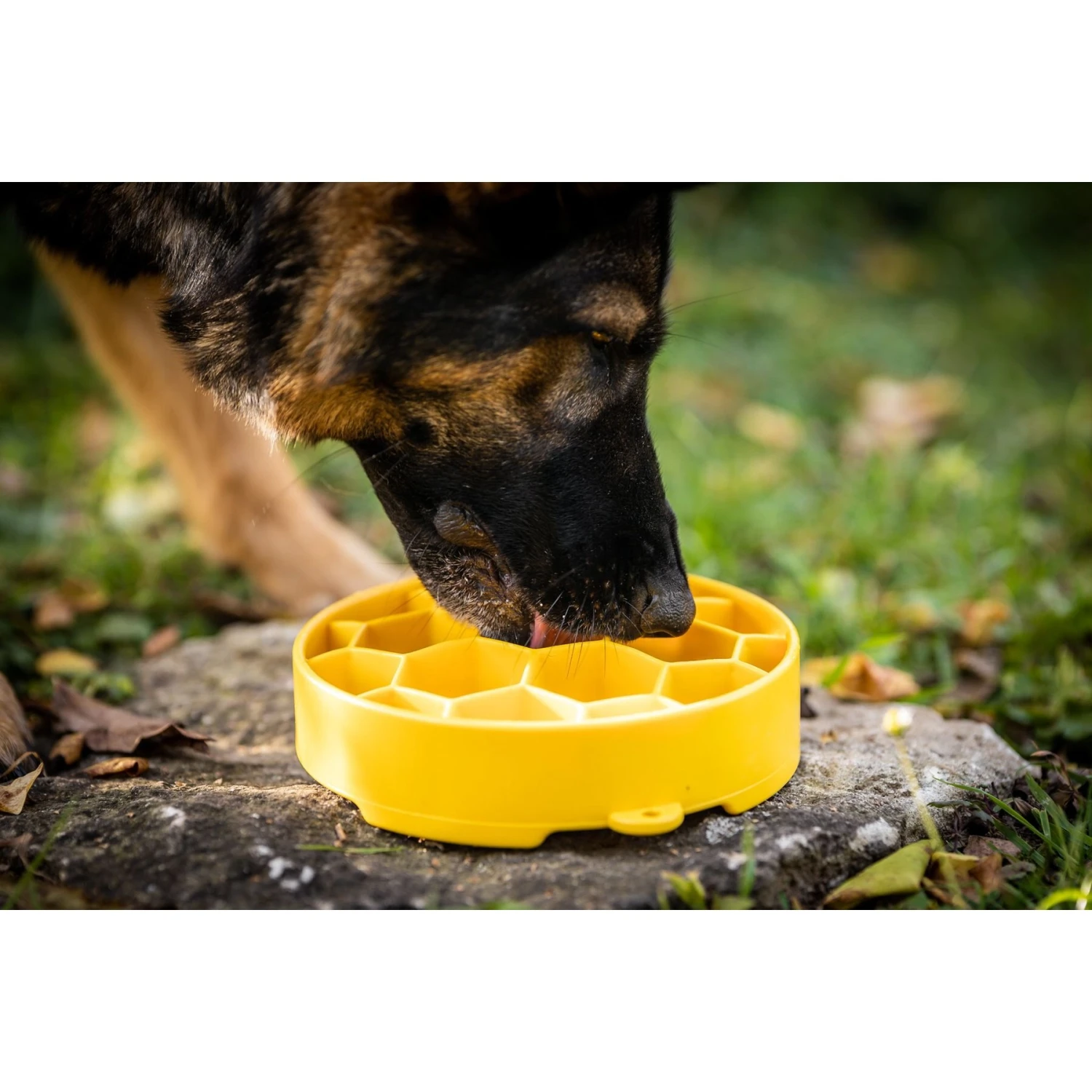 SodaPup Honeycomb Slow Feeder Dog Bowl, Yellow, Large 6 SodaPup Honeycomb Slow Feeder Dog Bowl, Yellow, Large - Image 4