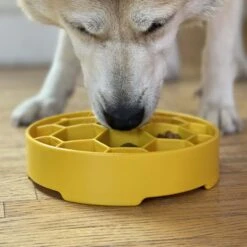 SodaPup Honeycomb Slow Feeder Dog Bowl, Yellow, Large 14 SodaPup Honeycomb Slow Feeder Dog Bowl, Yellow, Large -Blue Buffalo || ROYAL CANIN || Wellness Sales 690574 PT5. AC SS1800 V1667518869
