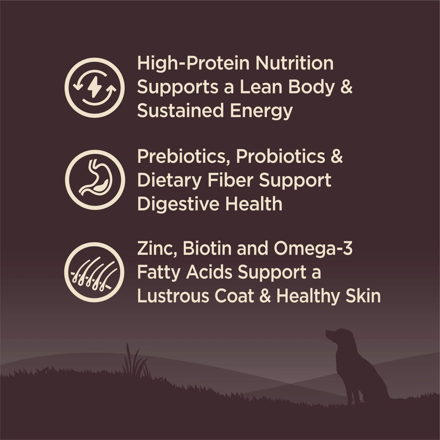 Wellness CORE Grain-Free Wild Game Duck, Lamb Meal, Boar & Rabbit Recipe Natural Dry Dog Food 5 Wellness CORE Grain-Free Wild Game Duck, Lamb Meal, Boar & Rabbit Recipe Natural Dry Dog Food - Image 3