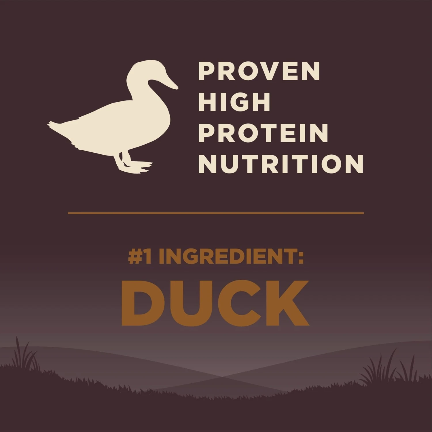 Wellness CORE Grain-Free Wild Game Duck, Lamb Meal, Boar & Rabbit Recipe Natural Dry Dog Food 7 Wellness CORE Grain-Free Wild Game Duck, Lamb Meal, Boar & Rabbit Recipe Natural Dry Dog Food - Image 5