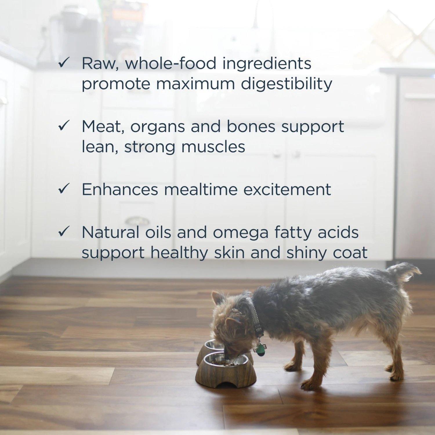 Instinct Frozen Raw Patties Grain-Free Cage-Free Chicken Recipe Dog Food 7 Instinct Frozen Raw Patties Grain-Free Cage-Free Chicken Recipe Dog Food - Image 5