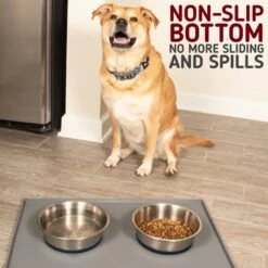 Leashboss Stainless Steel Silicone Base Dog Bowl, Medium/Large -Blue Buffalo || ROYAL CANIN || Wellness Sales 695022 PT3. AC SS1800 V1669907409