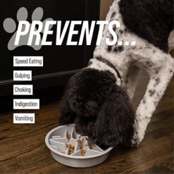 Leashboss Raised Pet Feeders Slow Feed Dog Bowl -Blue Buffalo || ROYAL CANIN || Wellness Sales 695118 PT2. AC SS1800 V1669906553