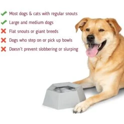 Leashboss Splashless Travel Dog Water Bowl, Gray, 40-oz Cup -Blue Buffalo || ROYAL CANIN || Wellness Sales 695166 PT2. AC SS1800 V1669906962