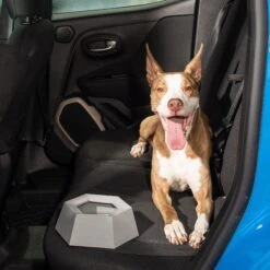 Leashboss Splashless Travel Dog Water Bowl, Gray, 40-oz Cup -Blue Buffalo || ROYAL CANIN || Wellness Sales 695166 PT4. AC SS1800 V1669909254