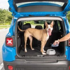 Leashboss Splashless Travel Dog Water Bowl, Gray, 40-oz Cup -Blue Buffalo || ROYAL CANIN || Wellness Sales 695166 PT6. AC SS1800 V1669907360