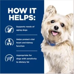 Hill's Prescription Diet G/d Aging Care Turkey Flavor Wet Senior Dog Food -Blue Buffalo || ROYAL CANIN || Wellness Sales 69757 PT4. AC SS1800 V1687984736