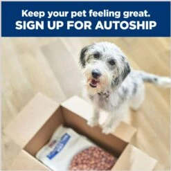 Hill's Prescription Diet G/d Aging Care Turkey Flavor Wet Senior Dog Food -Blue Buffalo || ROYAL CANIN || Wellness Sales 69757 PT6. AC SS1800 V1687984292