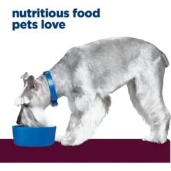 Hill's Prescription Diet I/d Digestive Care Low Fat Original Flavor Pate Wet Dog Food 15 Hill's Prescription Diet I/d Digestive Care Low Fat Original Flavor Pate Wet Dog Food -Blue Buffalo || ROYAL CANIN || Wellness Sales 69765 PT4. AC SS1800 V1650985591