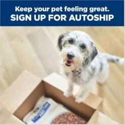 Hill's Prescription Diet R/d Weight Reduction Original Canned Dog Food -Blue Buffalo || ROYAL CANIN || Wellness Sales 69783 PT8. AC SS1800 V1672947058