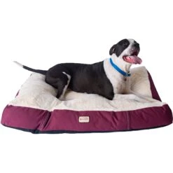 Armarkat Dog Pillow Bed With Removable Cover, Burgundy/Ivory 13 Armarkat Dog Pillow Bed With Removable Cover, Burgundy/Ivory -Blue Buffalo || ROYAL CANIN || Wellness Sales 70147 PT2. AC SS1800 V1628110292