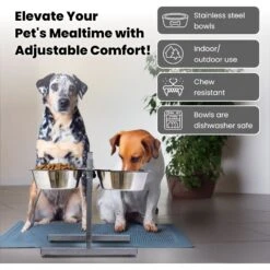 Iconic Pet Adjustable Stainless Steel Elevated Dog Bowl, H Design 13 Iconic Pet Adjustable Stainless Steel Elevated Dog Bowl, H Design -Blue Buffalo || ROYAL CANIN || Wellness Sales 701886 PT2. AC SS1800 V1668110957