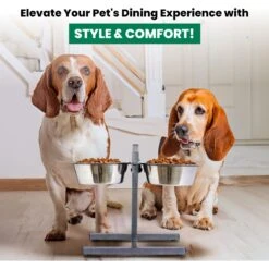 Iconic Pet Adjustable Stainless Steel Elevated Dog Bowl, H Design 16 Iconic Pet Adjustable Stainless Steel Elevated Dog Bowl, H Design -Blue Buffalo || ROYAL CANIN || Wellness Sales 701886 PT5. AC SS1800 V1668110985